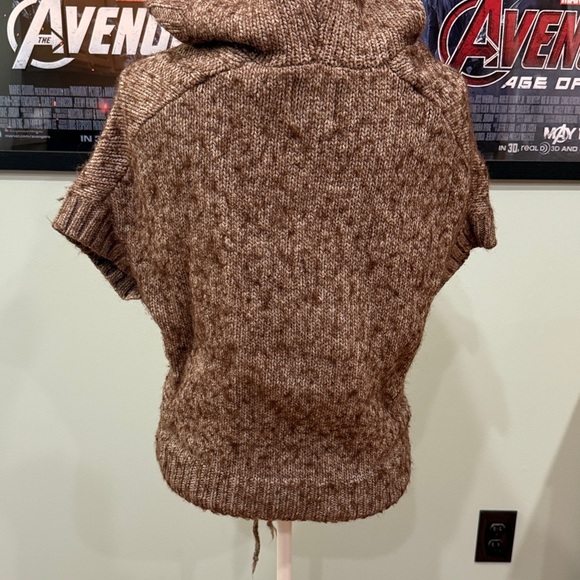 American Eagle Outfitters hooded sweater - Picture 3 of 6